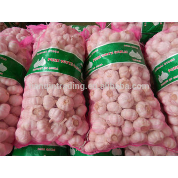 China Red Garlic Exportador